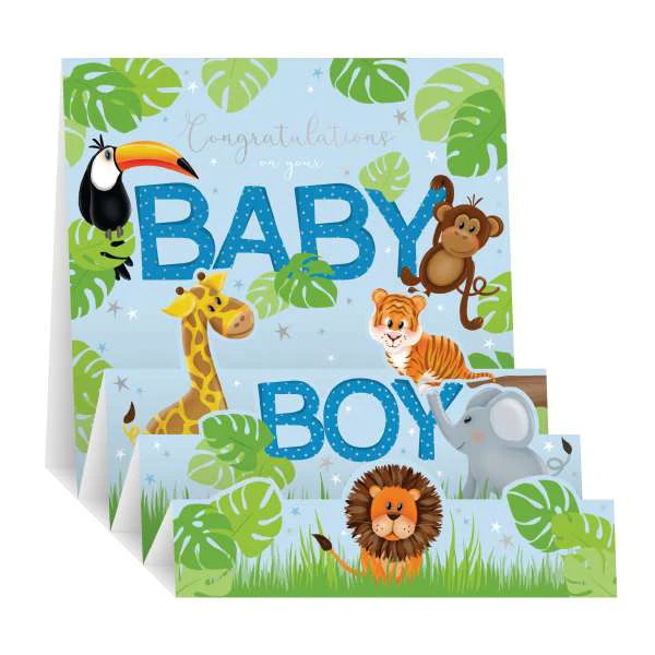 Noel Tatt Zig Zag Congratulations On Your Baby Boy - Greeting Card