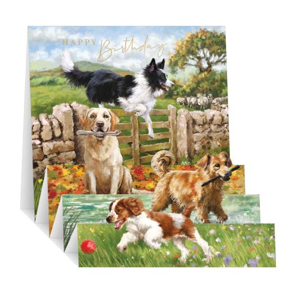Noel Tatt Zig Zag Happy Birthday - Greeting Card