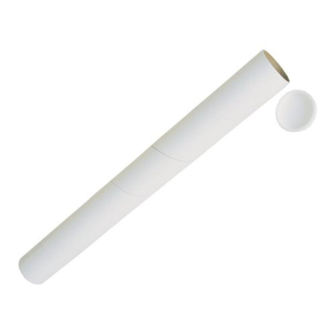Tiger - Postal Tube - Medium / C61