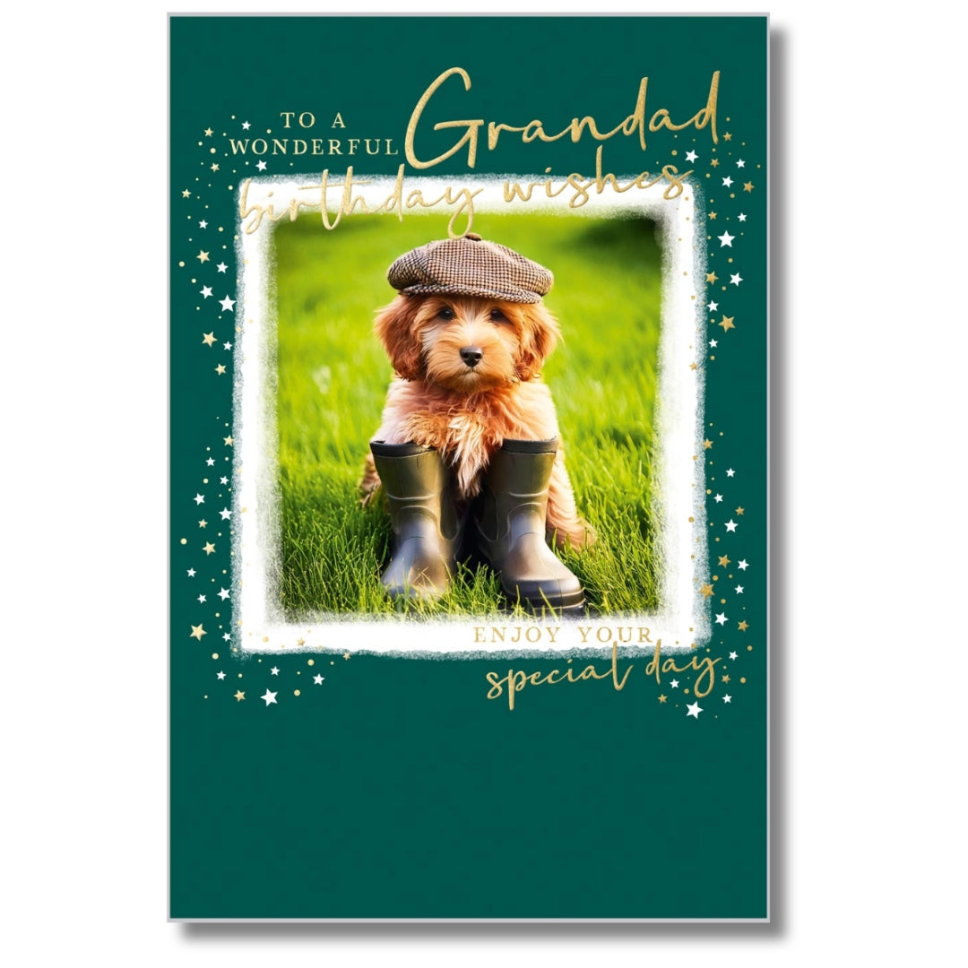 Abacus To A Wonderful Grandad Birthday Wishes - Greeting Card