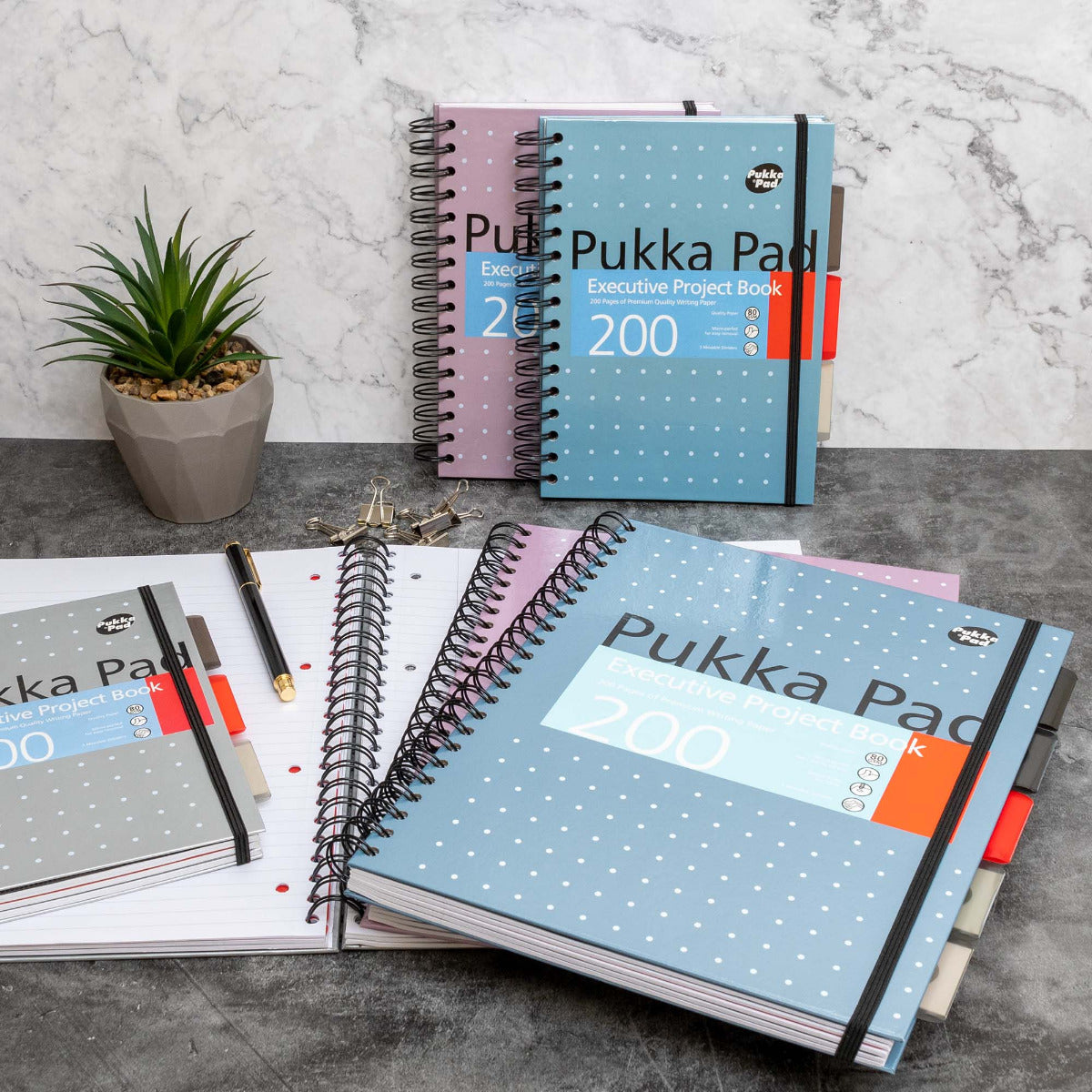 A4 Pukka Pads Side-Spiral Lined Project Book With 5 Dividers - Metallic Executive Silver