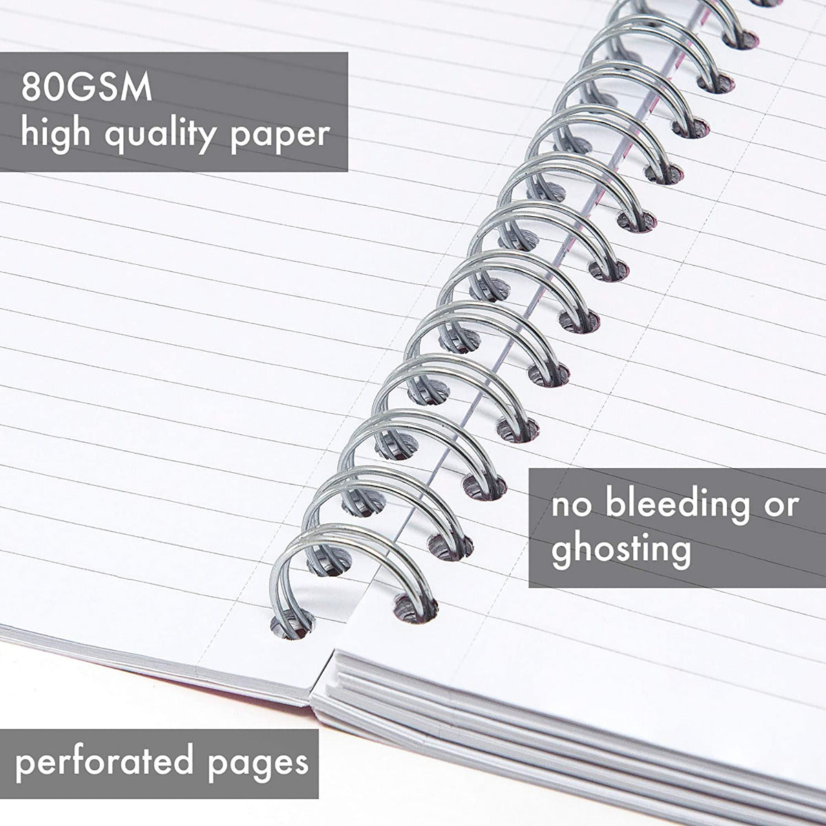 B5 Pukka Pads Rochelle & Jess Lined Project Book - Various Colours