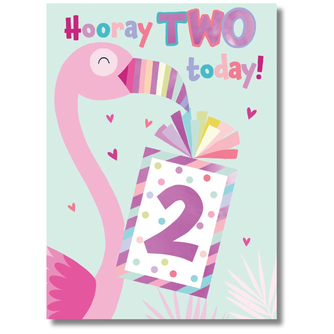 Hooray TWO Today Greeting Card