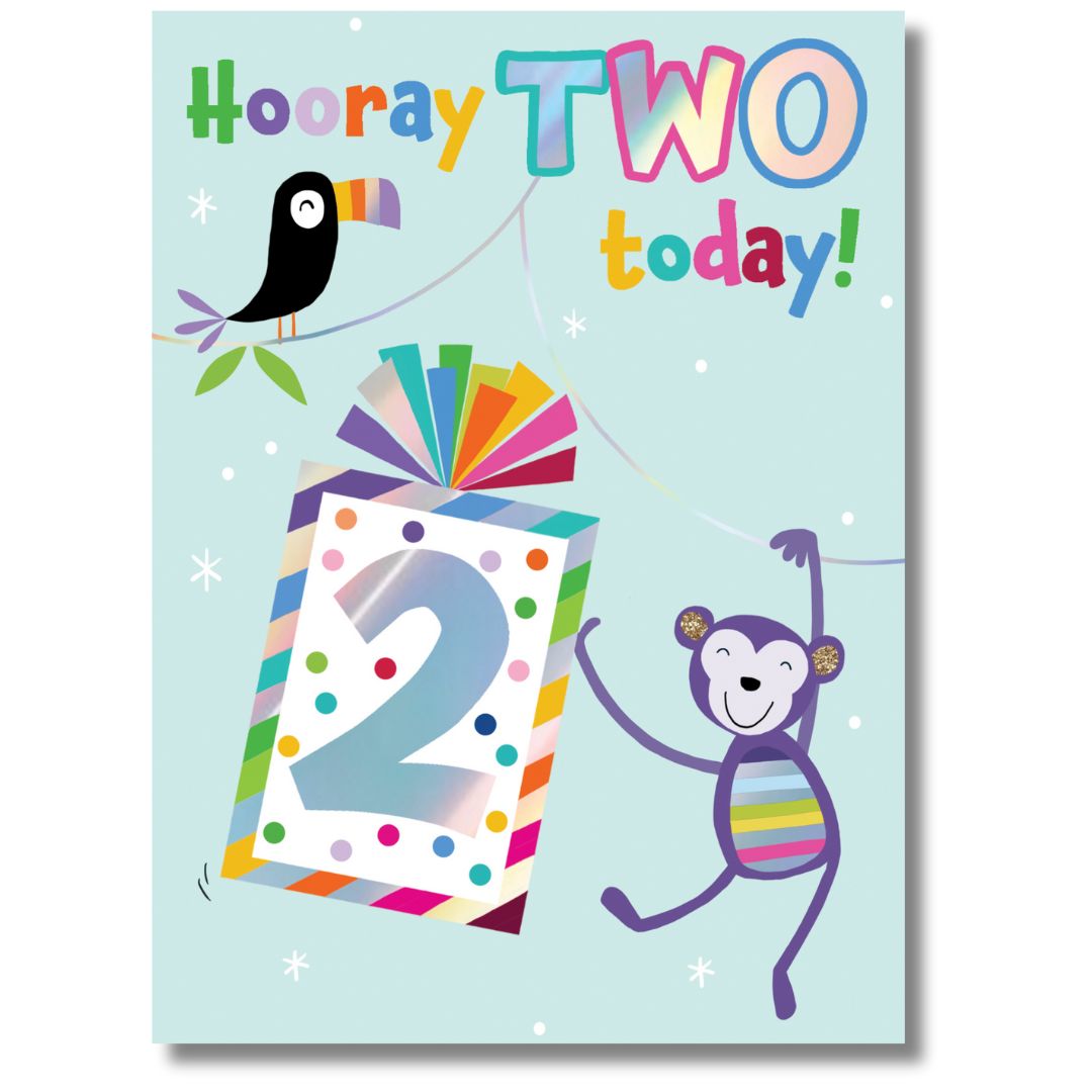 Hooray TWO Today Greeting Card