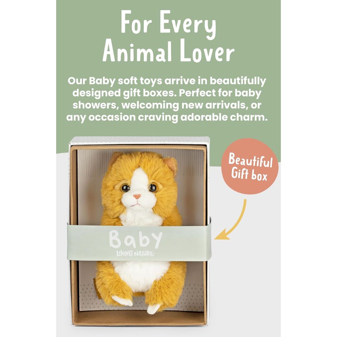 Keycraft Living Nature Baby Kitten 16cm