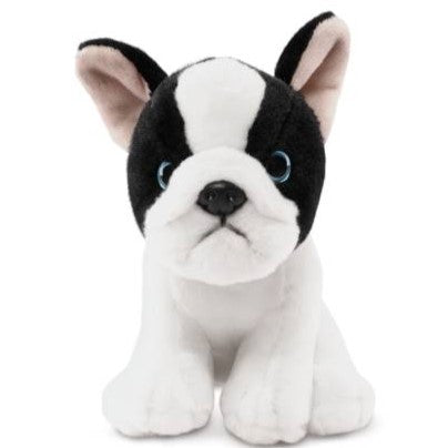 Living Nature French Bulldog Puppy Black & White 17 x 9cm