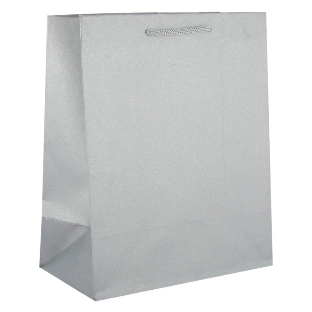 Hallmark Gift Bag Small 24.5 x 19.5cm - Silver