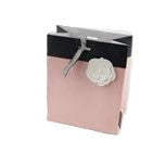 Hallmark Gift Bag Classic Pink Small 16.5 x 14cm