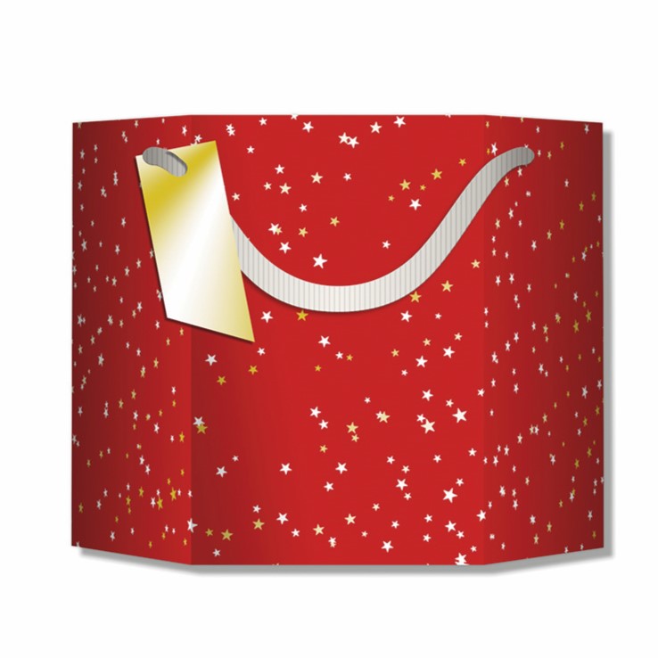 Hallmark Christmas Bag Small 16 x 15 x 17cm - Red With Stars