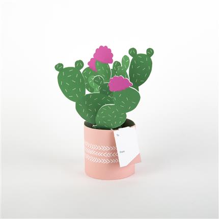 Hallmark Cactus - Pop-Up Card Greeting Card