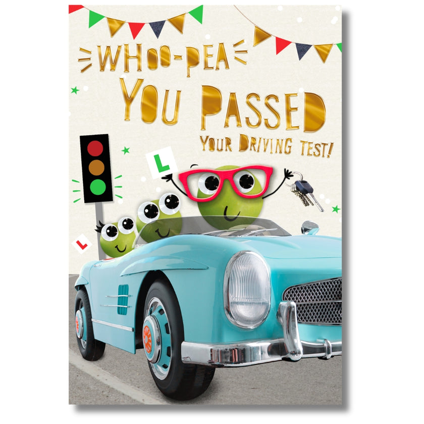 Hallmark Whoo-Pea You Passed Your Driving Test! - Greeting Card
