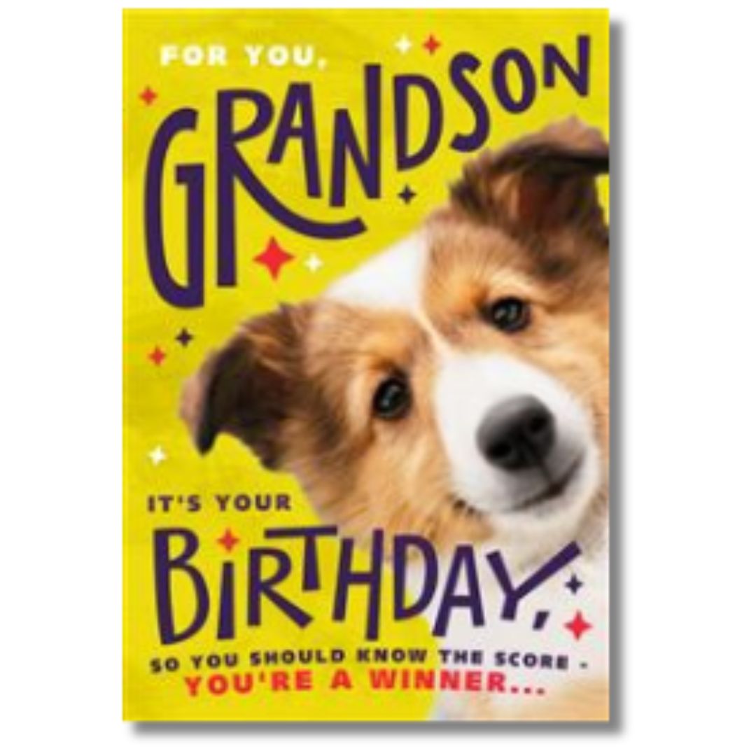 Hallmark For You, Grandson Birthday - Greeting Card