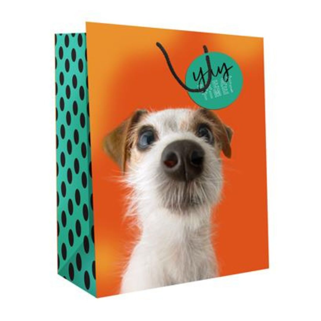 Gift Bag - Happy Dog 33x15x27cm