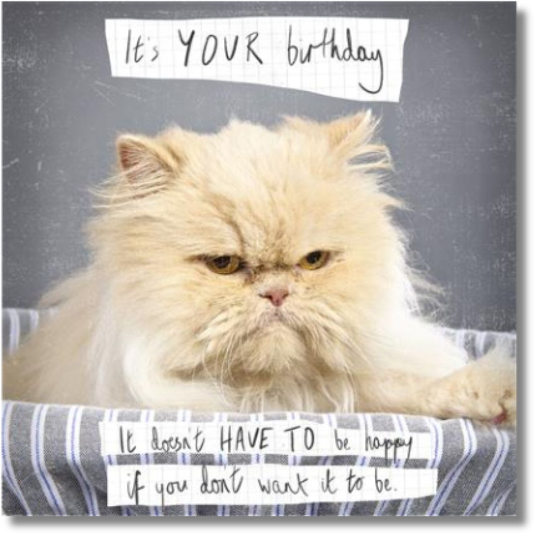 Its Your Birthday Greeting Card