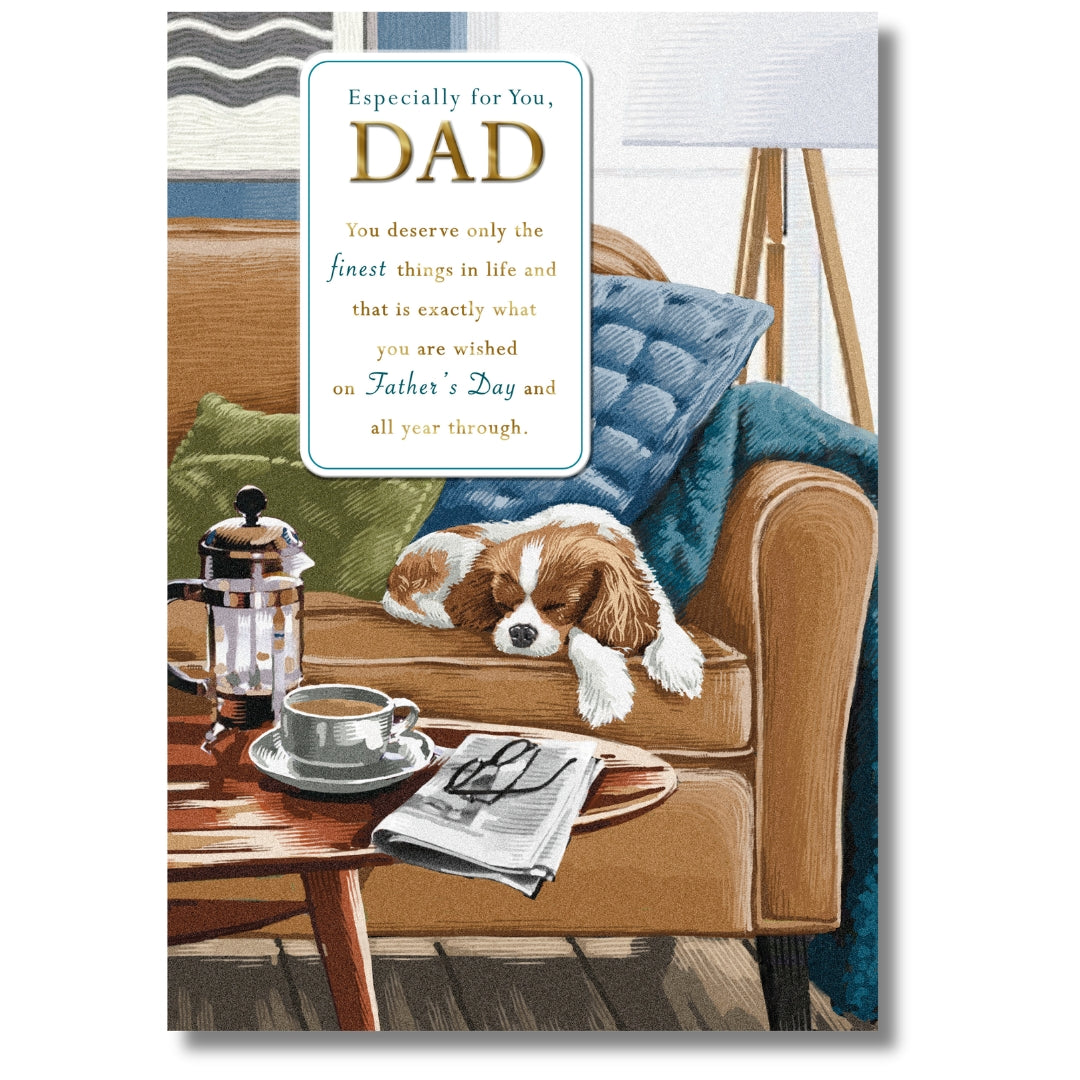Hallmark Especially For You, Dad On Father's Day - Greeting Card