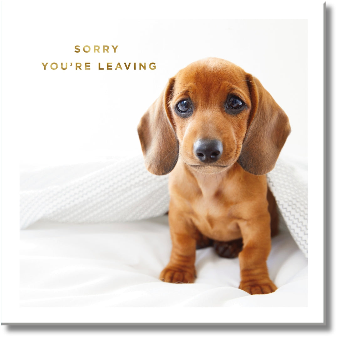 Hallmark Sorry You're Leaving - Greeting Card