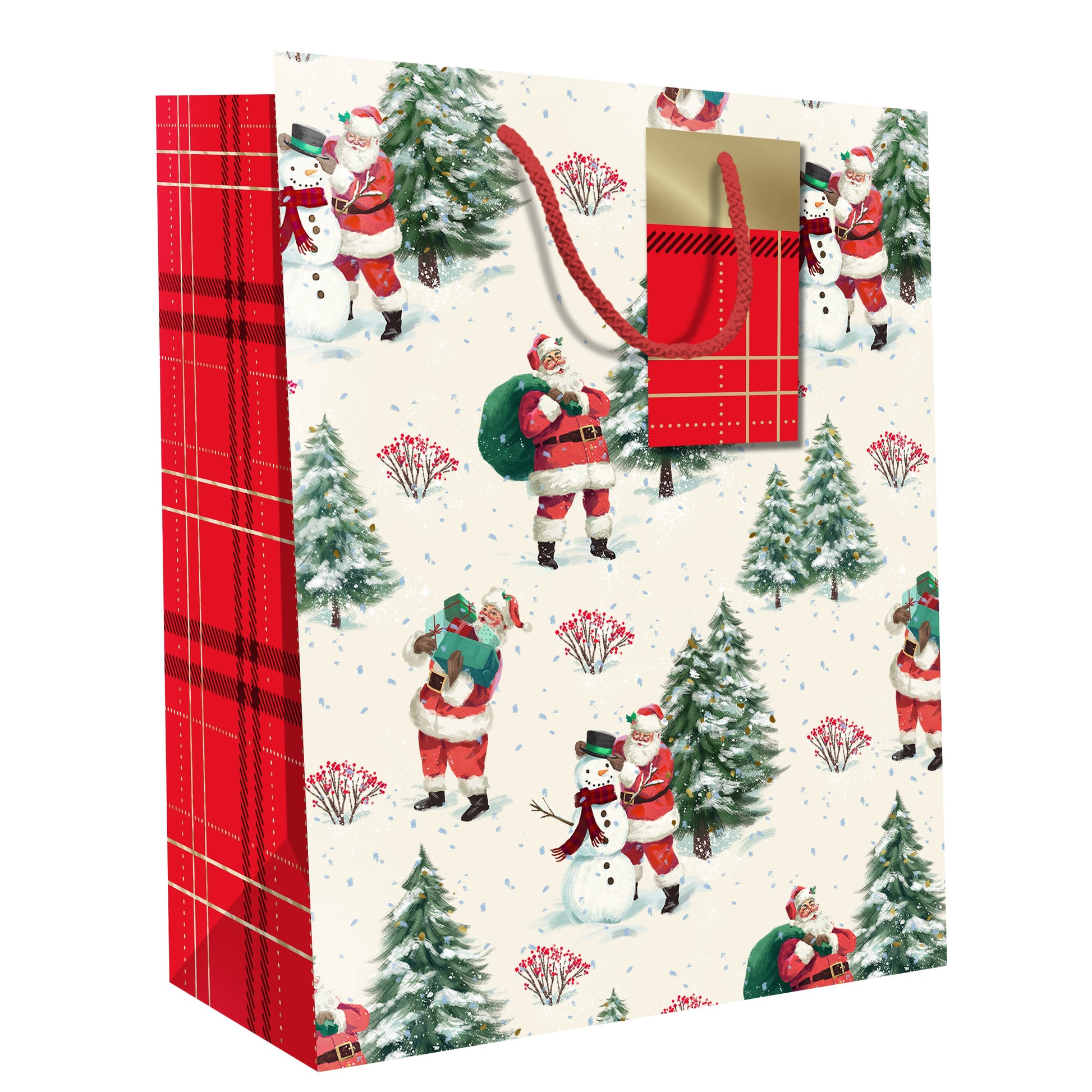 Hallmark Christmas Bag Small 24 x 20cm - Santa