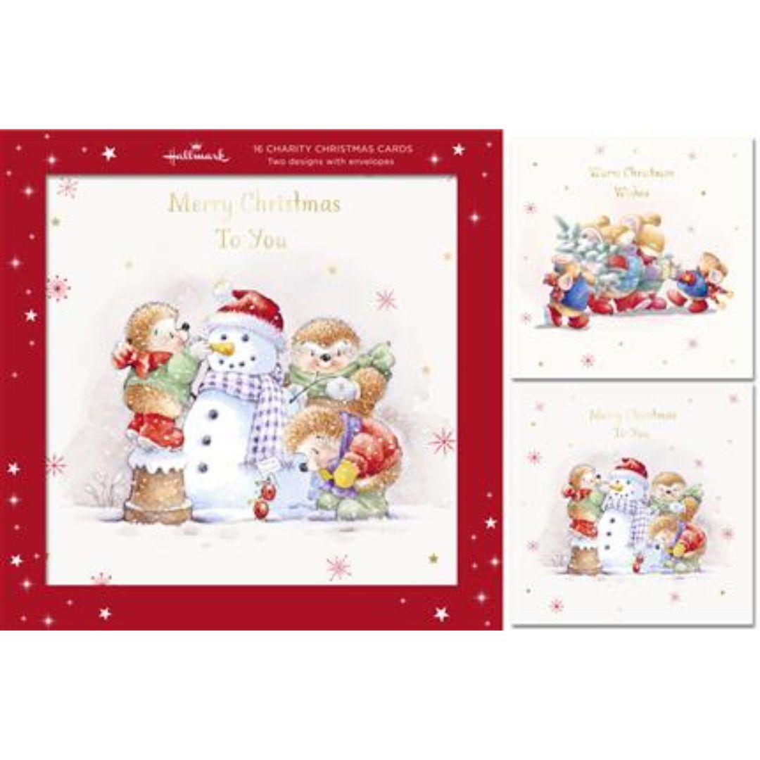 Hallmark Merry Christmas To You A Box Of 16 Charity Christmas Cards