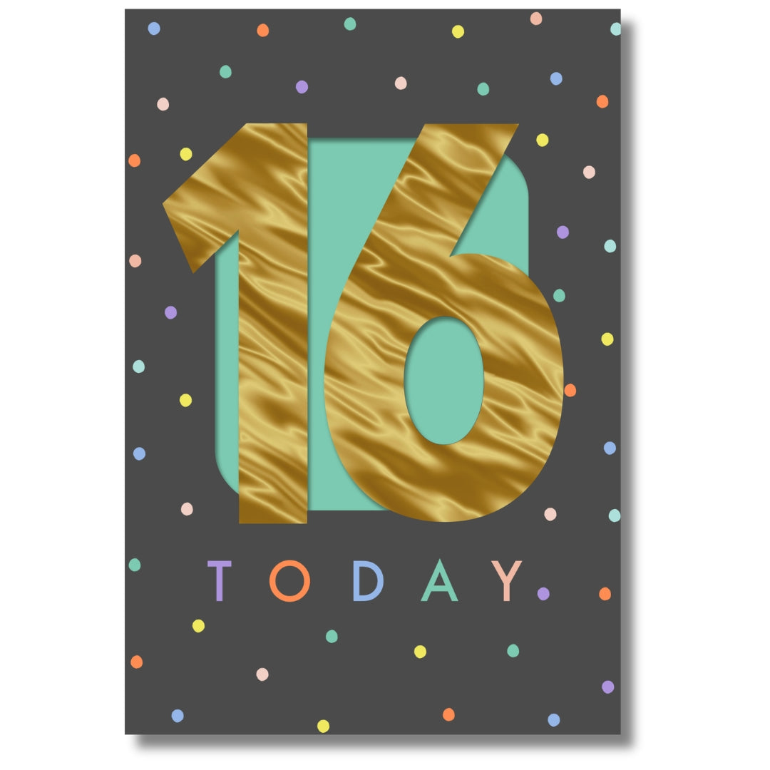 Hallmark 16 Today Birthday - Greeting Card