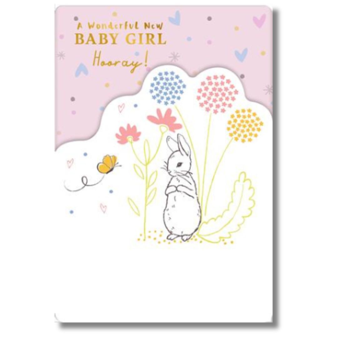 Hallmark A Wonderful New Baby Girl - Greeting Card