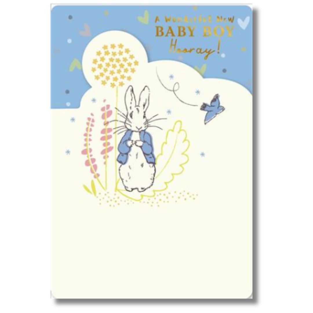 A Wonderful New Baby Boy Greeting Card