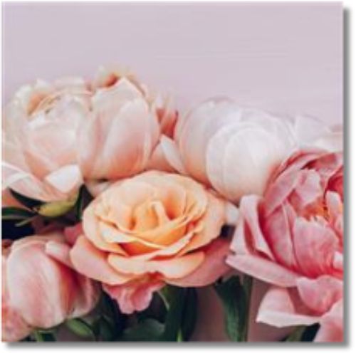 Hallmark Roses Blank - Greeting Card