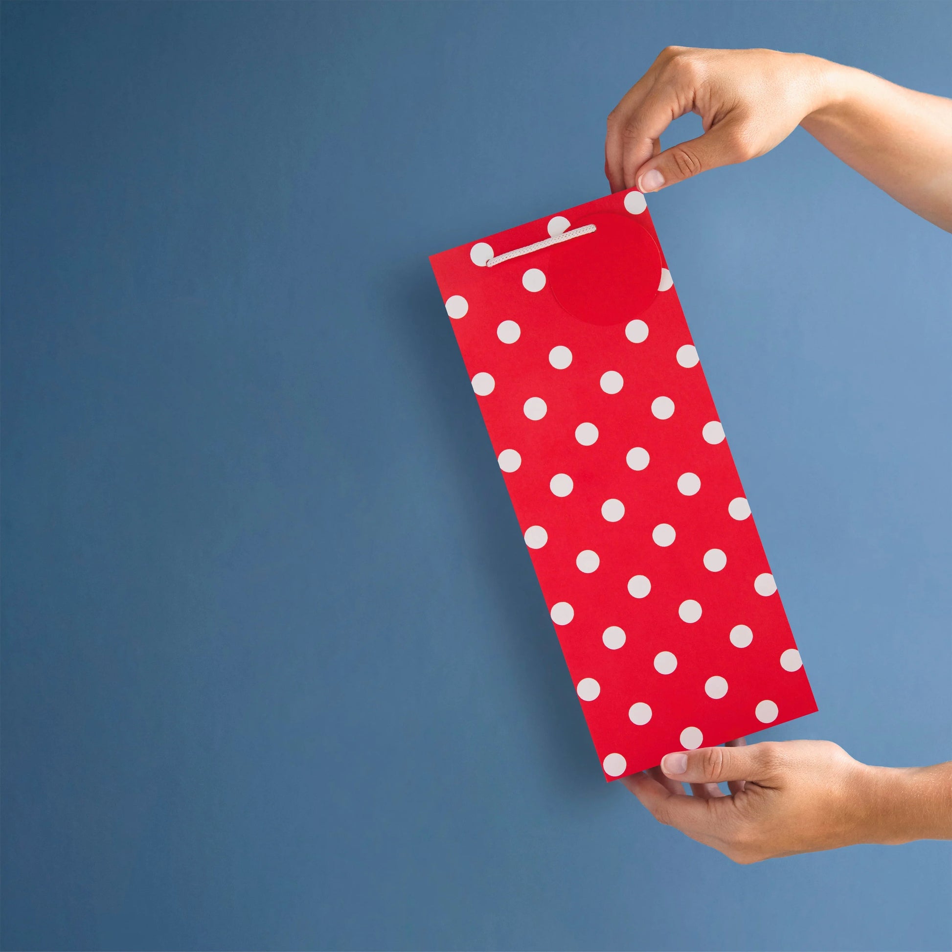 Hallmark Gift Bottle Bag 32.5 x 13cm - Red Polka Dot