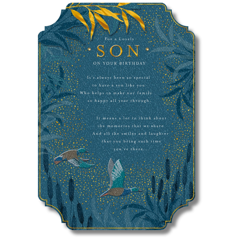 Hallmark For A Lovely Son On Your Birthday - Greeting Card