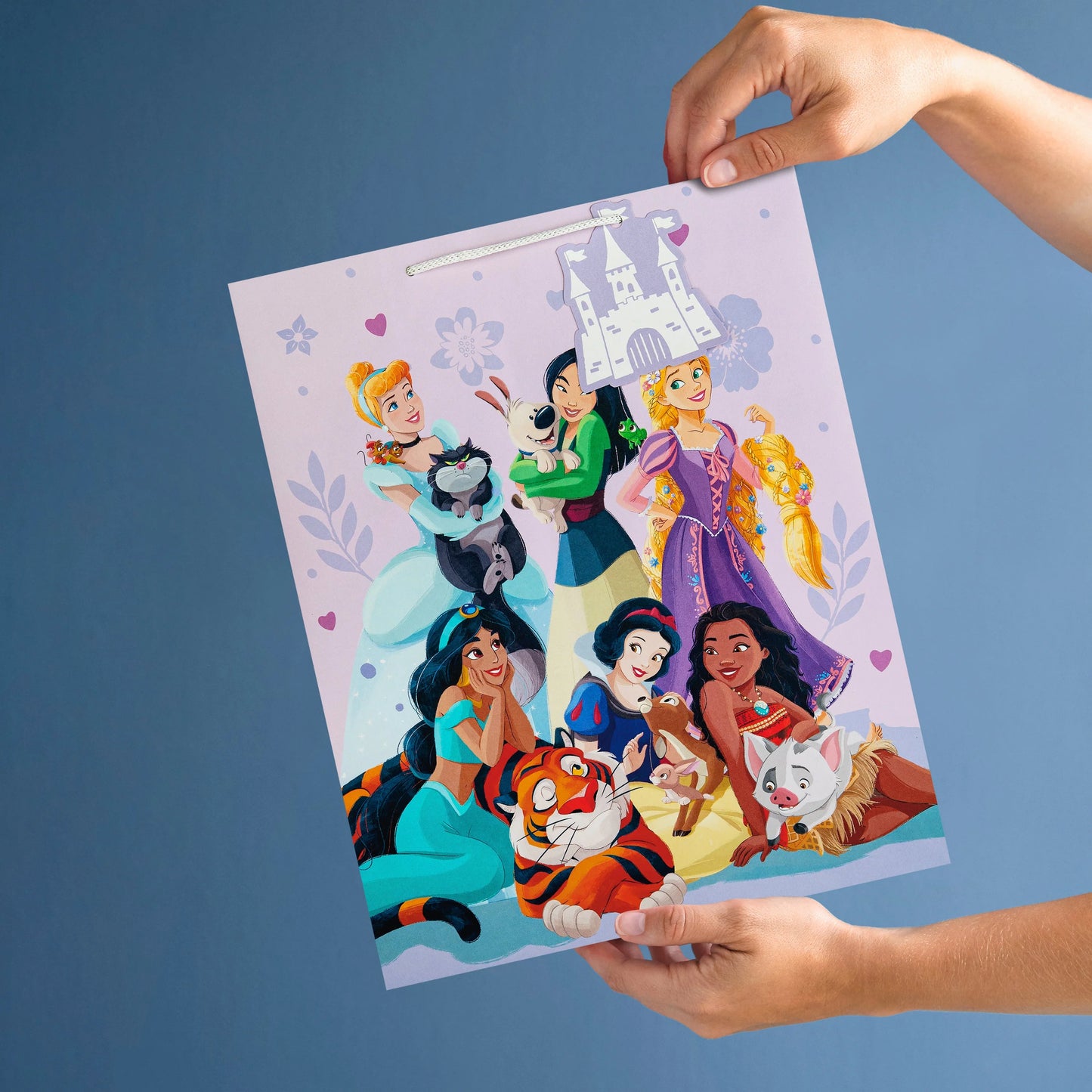 Hallmark Gift Bag Medium 33 x 26.5cm - Disney Princess