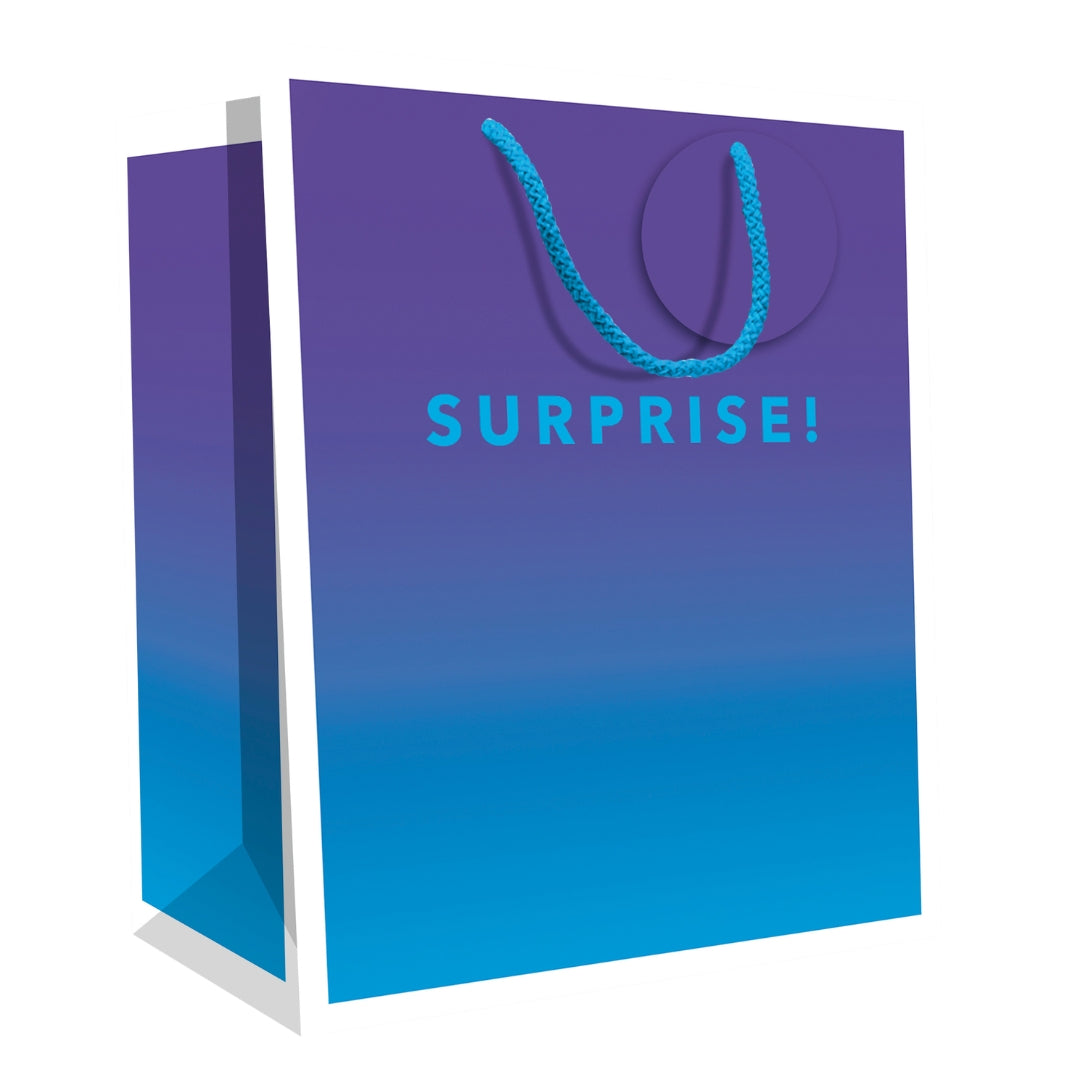 Hallmark Gift Bag Small 24.5 x 19.5cm - Surprise!