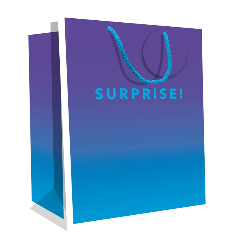 Hallmark Gift Bag Small 24.5 x 19.5cm - Surprise!