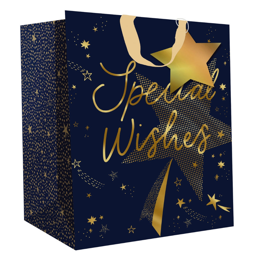 Hallmark Gift Bag Small 24.5 x 19.5cm - Special Wishes