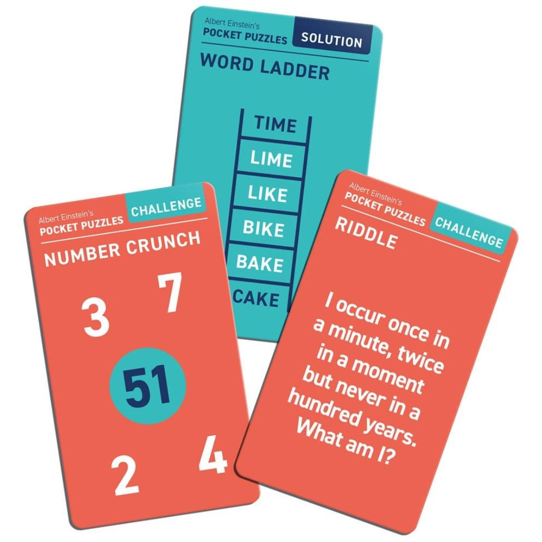 Professor Puzzle - Albert Einstein's Pocket Puzzle