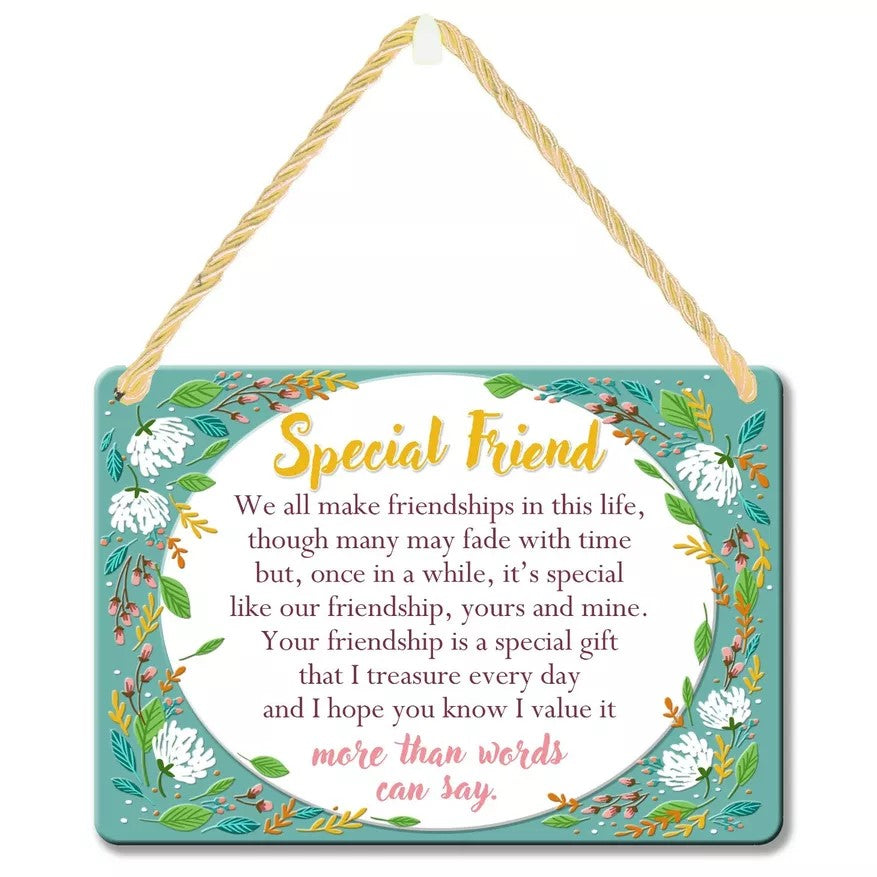 Hang-Ups! Hanging Tin Plaques 11.5 x 16.5cm - Special Friend