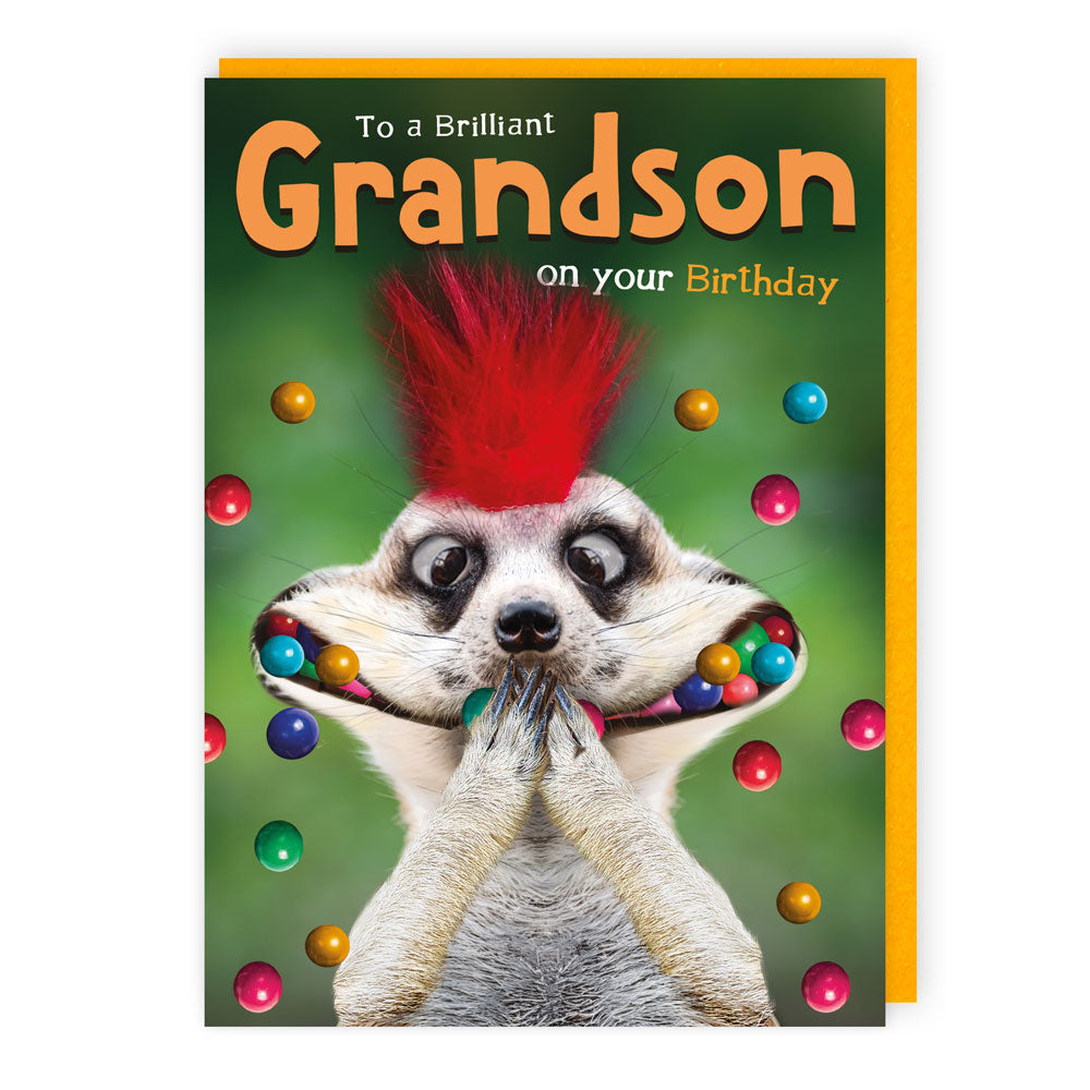 Tracks To A Brilliant Grandson On Your Birthday - Greeting Card