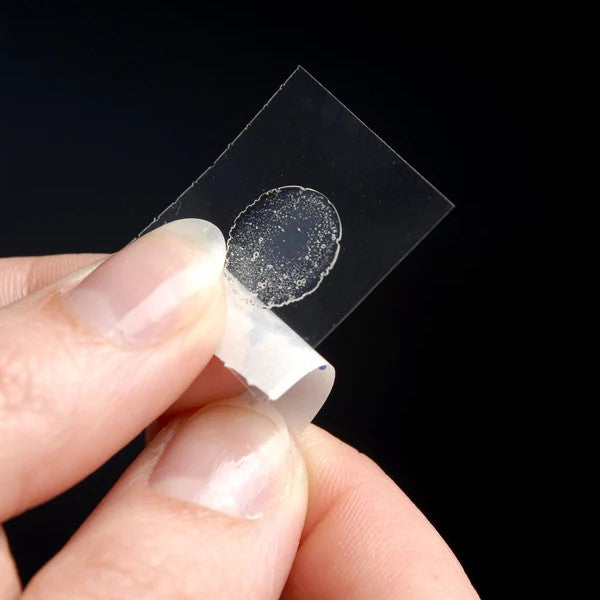 Sticky Dots Peelable Clear Adhesive Glue Dots A Pack Of 64pcs