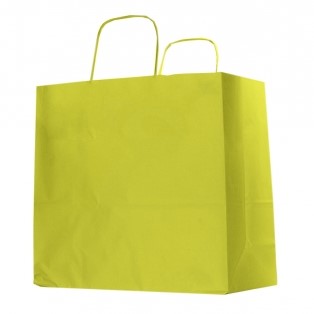 Kraft Bag With Handles 24 x 25cm - Green