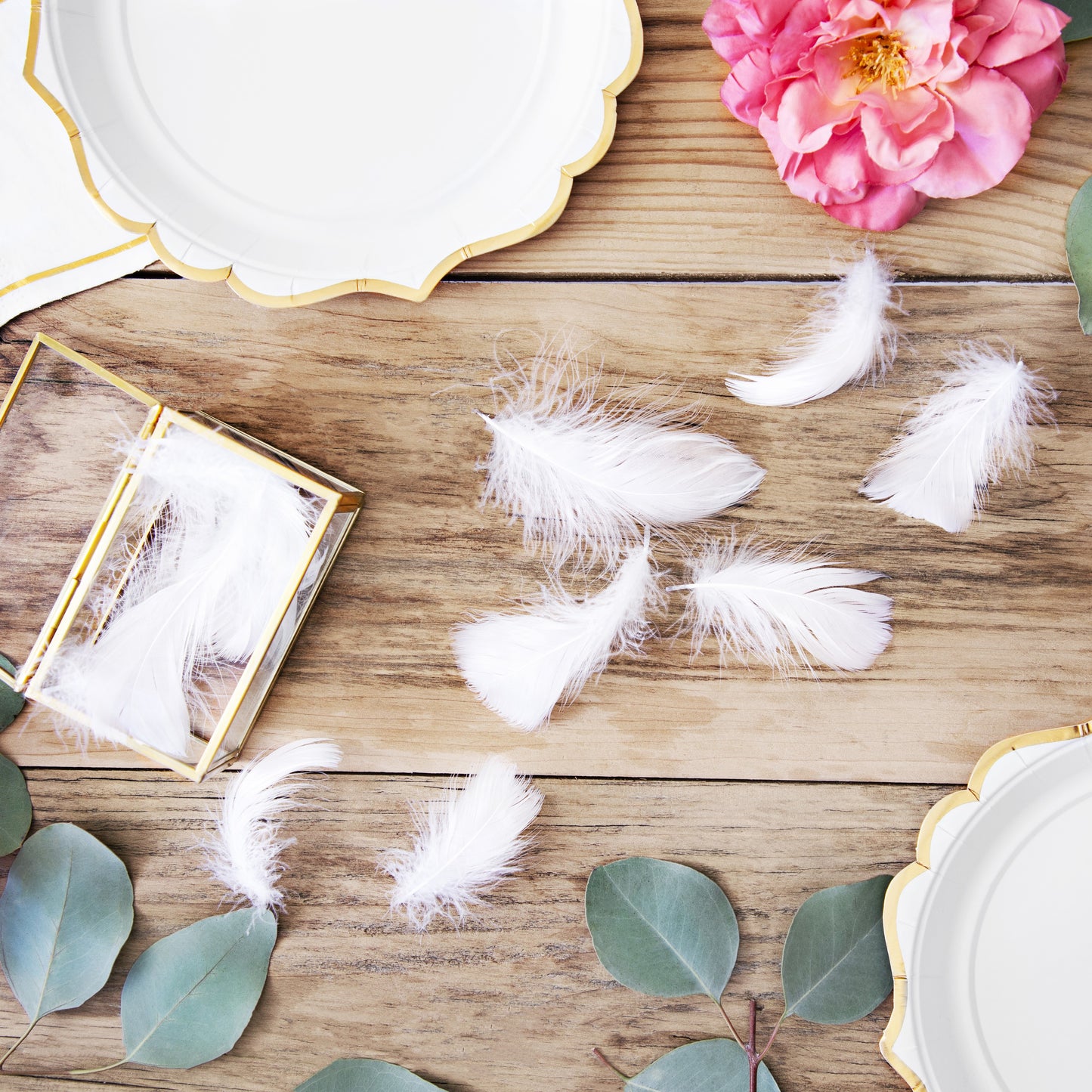 Decorative White Feathers 3g