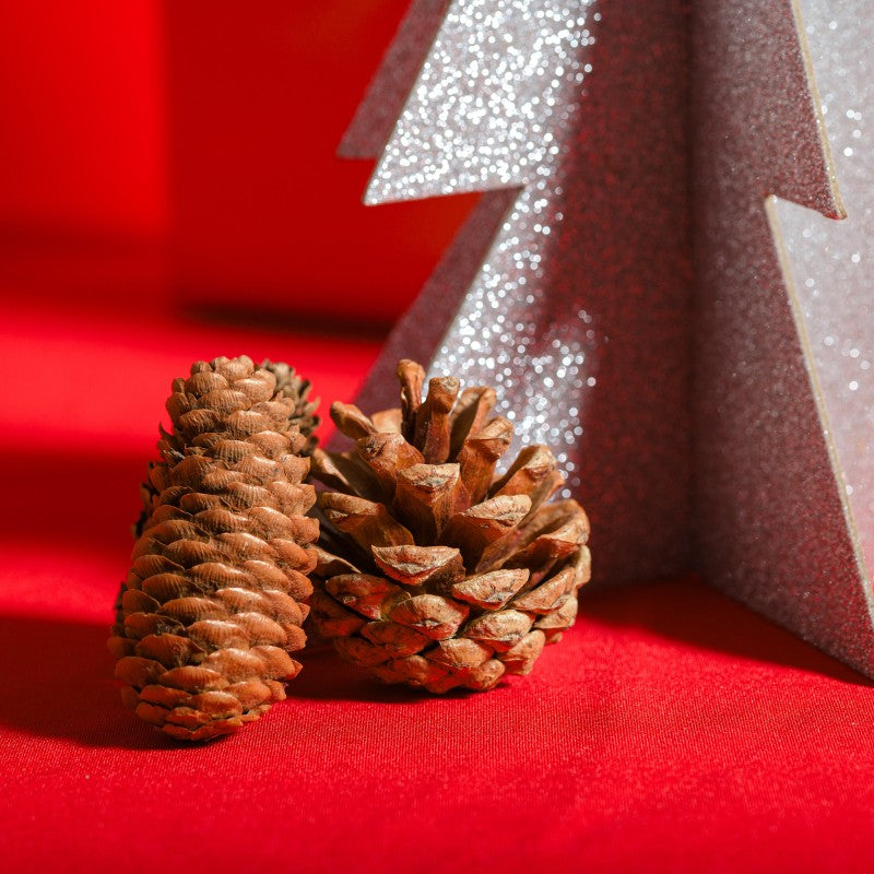 Daco Pine Cones A Pack Of 6pcs AD753