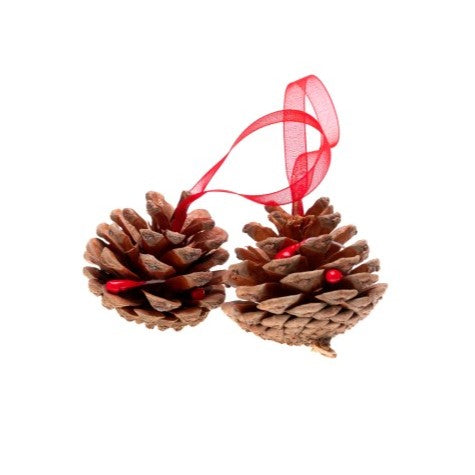 Daco Pine Cones A Pack Of 4pcs AD754