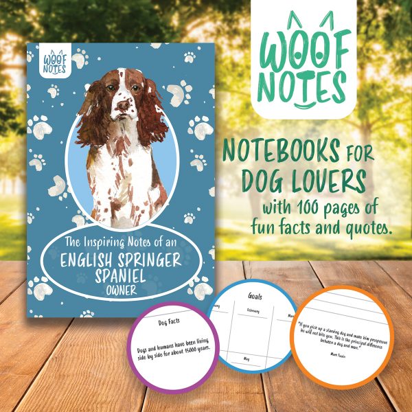A5 Woof Notes Notebook - English Springer Spaniel