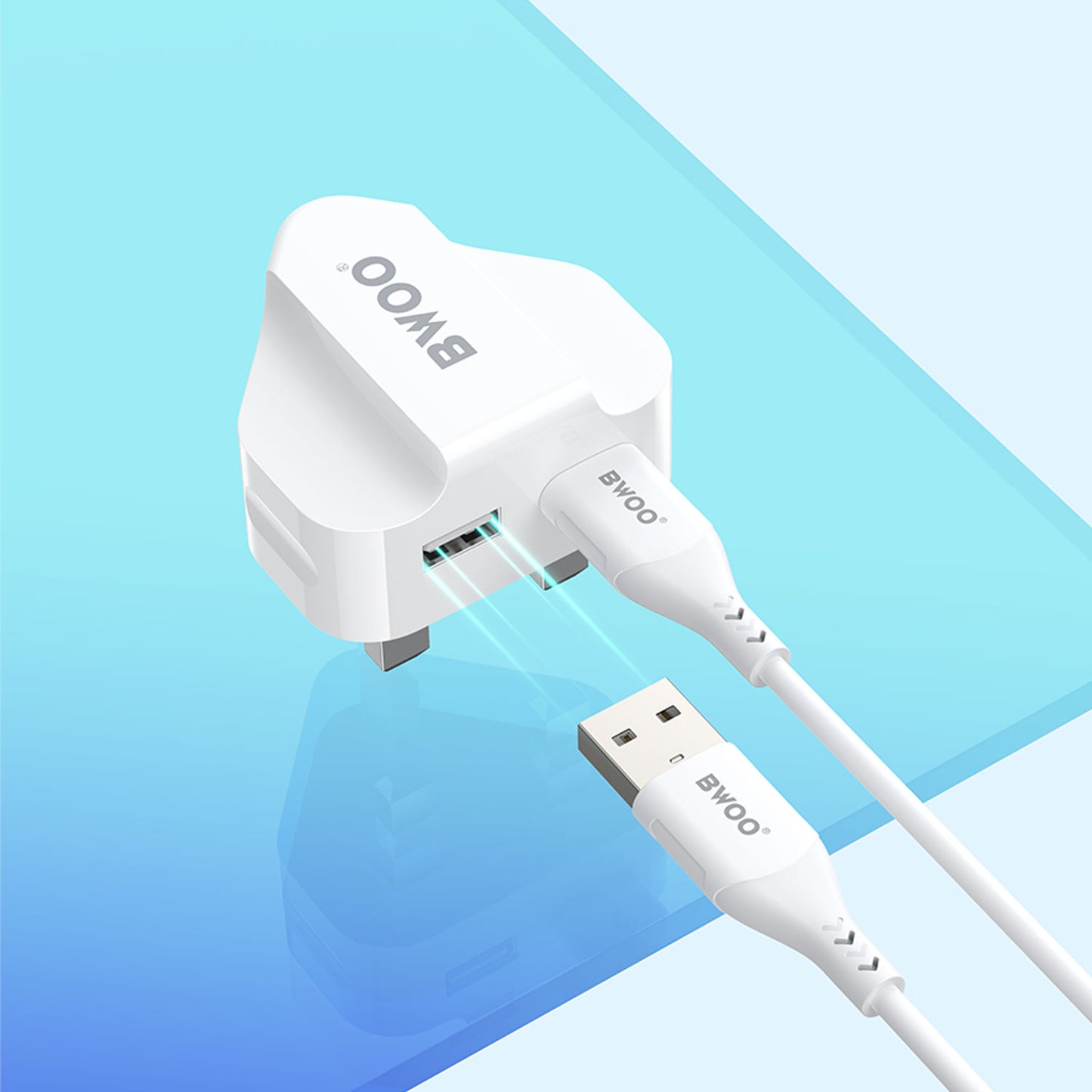 Bwoo 2.4A Fast Charging Dual USB Ports Wall Charger