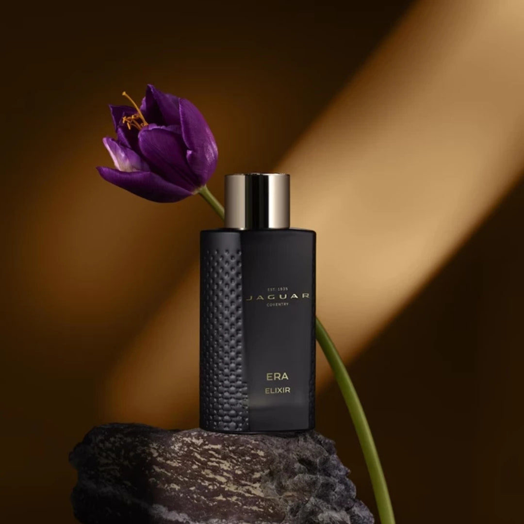 Jaguar Masculine Eau De Parfum 100ml - Era Elixir