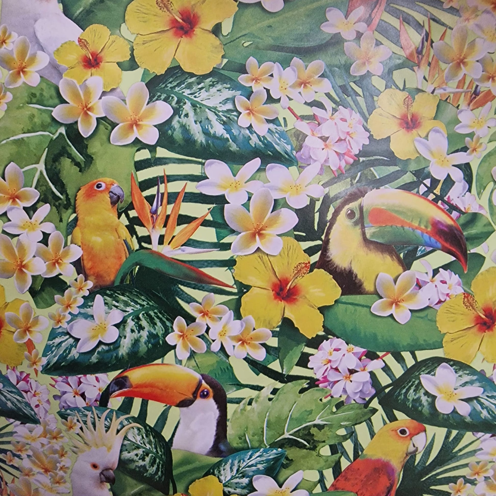 Gift Wrapping Paper 50 x 70cm Tropical With Cacadu