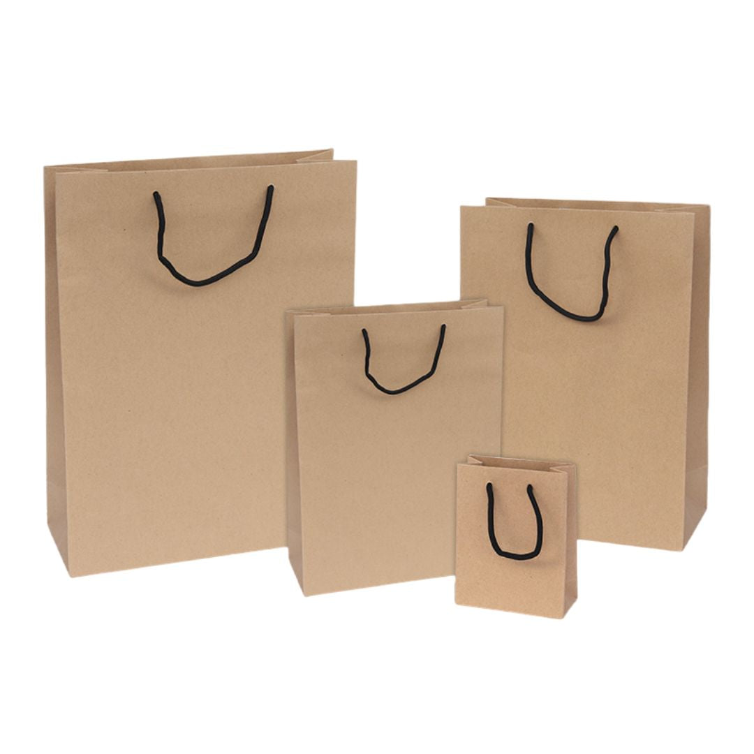 Brown Kraft Gift Bag (25 x 20 x 11 cm )