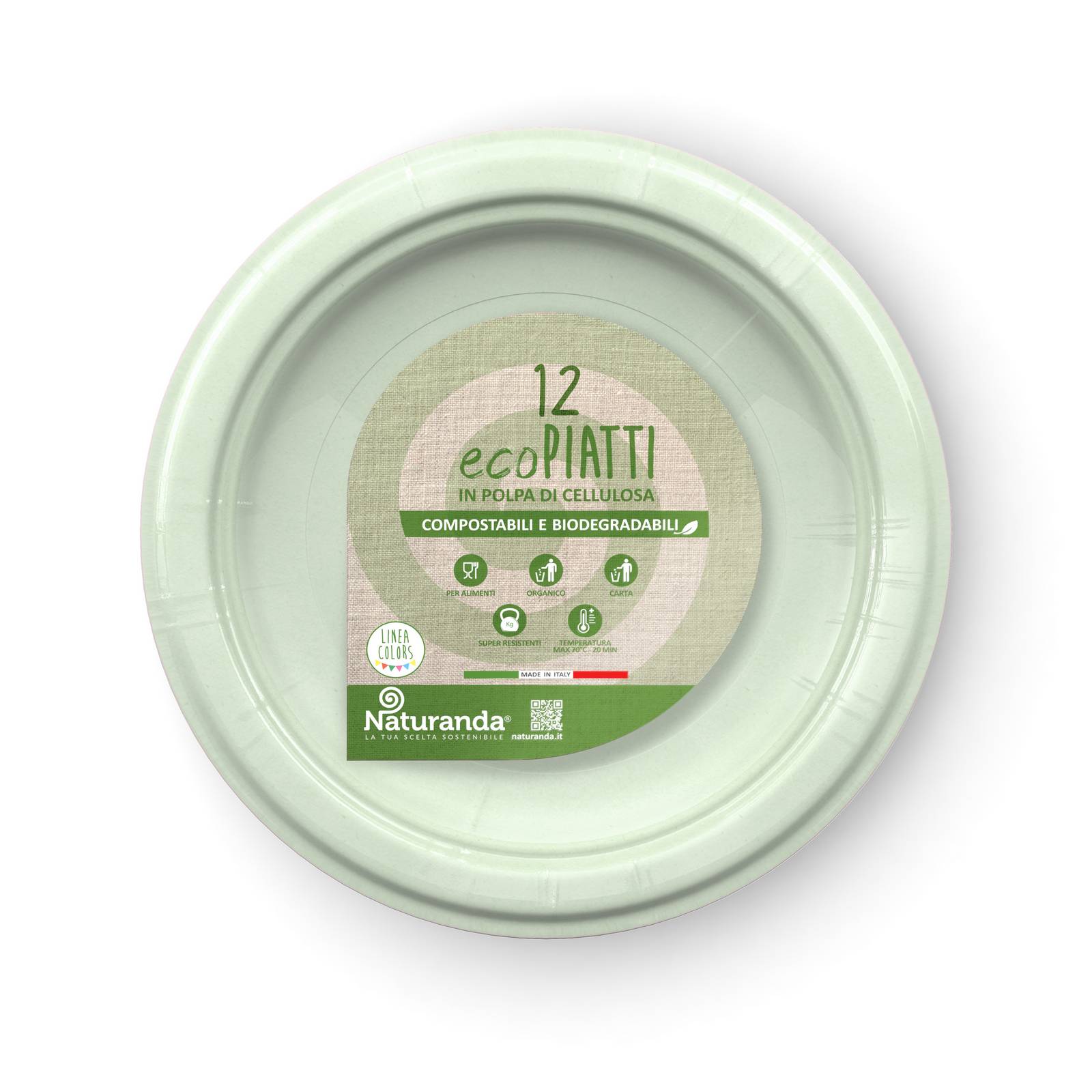 Biodegradable Plates 23cm x10pcs - Pastel Green