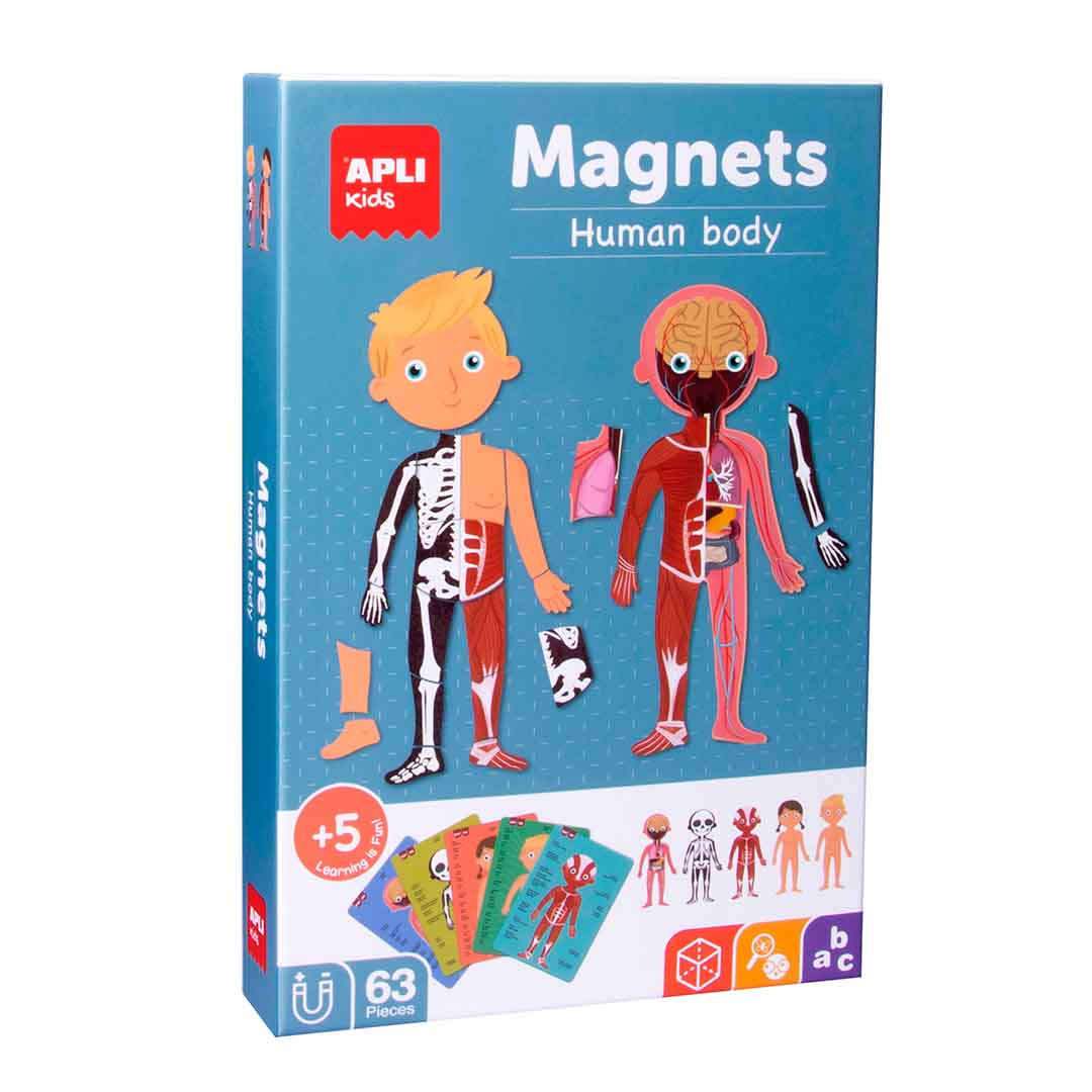 Apli Kids Magnets +5y - Human Body 63pcs