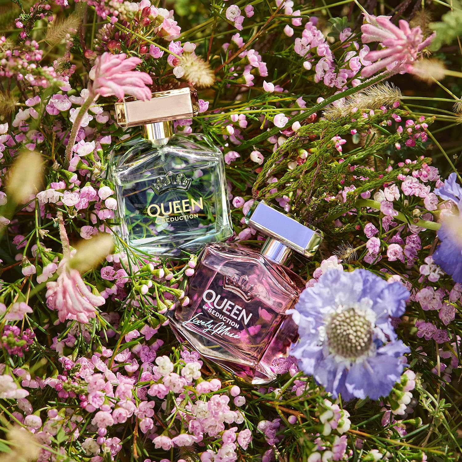 Antonio Banderas Feminine Eau De Toilette 80ml - Queen Of Seduction Lively Muse