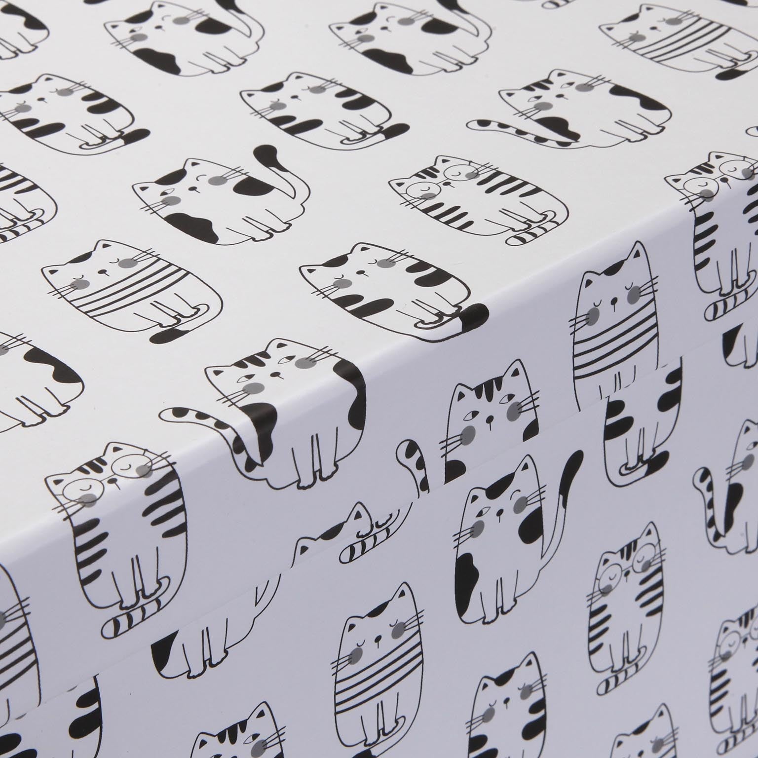 Gift Box - Cat - 9.5 x 21 x 13cm