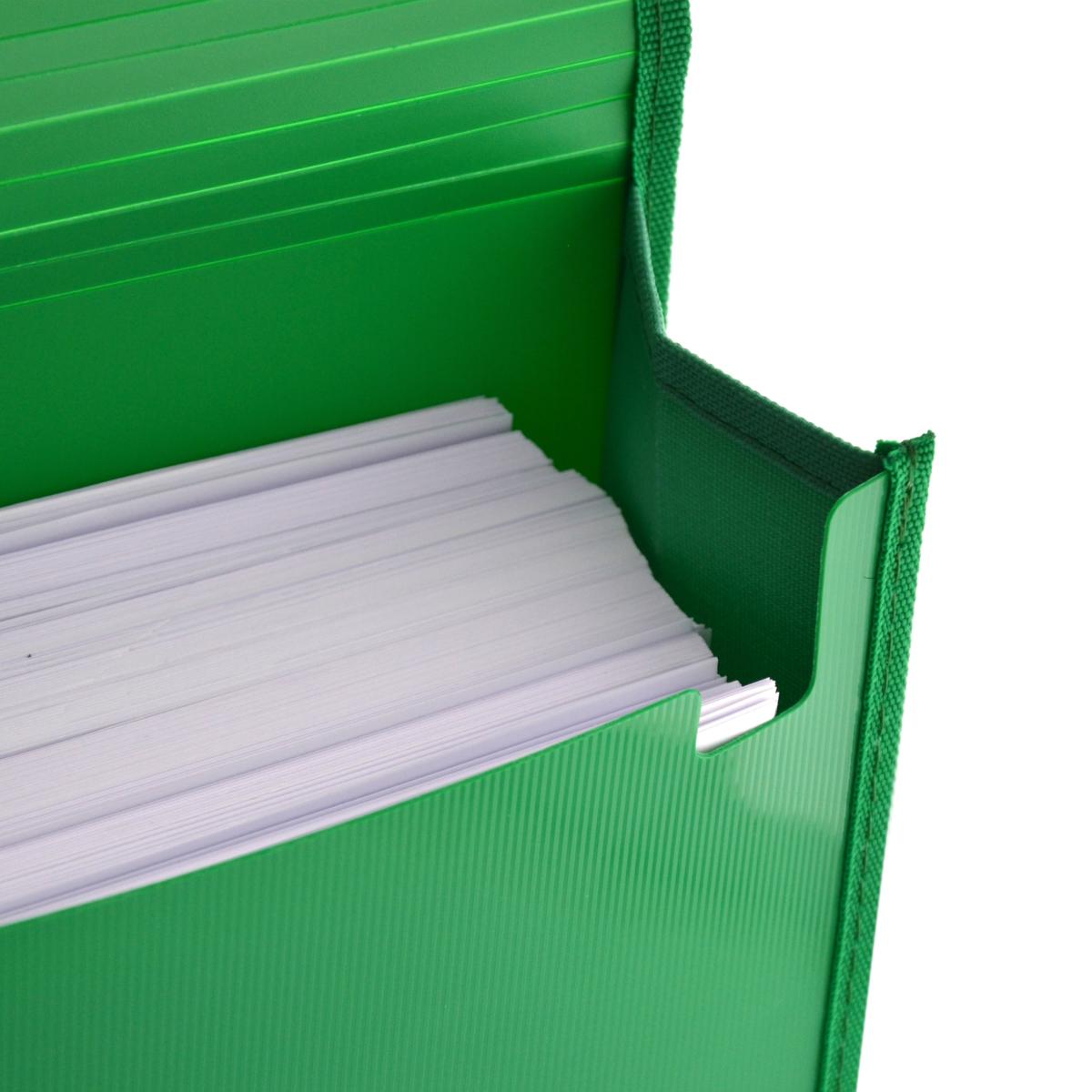 A4+ Office Box - ColourLine - Plastic File Folder With Elastic Band - Classic x 1pc Assortment